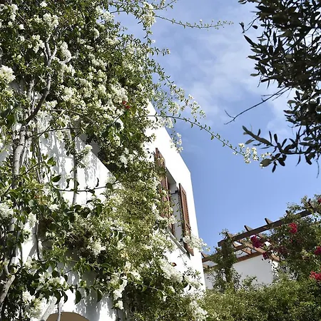 Hippocampus Apartment Antiparos Town